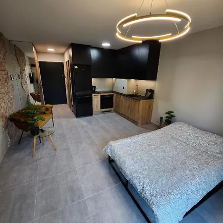 Apartment Przystan Nad Wisla Gym,pool And Free Parking