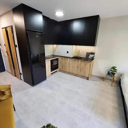Apartment Przystan Nad Wisla Gym,pool And Free Parking